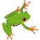 Sticker Grenouille verte - stickers animaux & autocollant voiture - stickmycar.fr