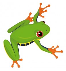 Sticker Grenouille verte