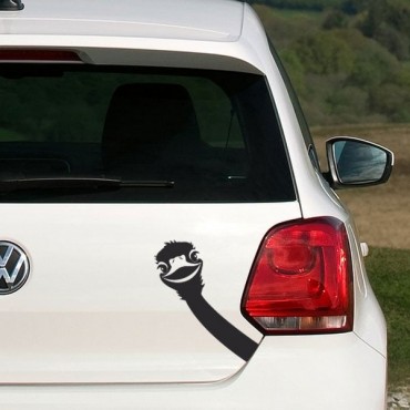 Sticker Autruche - stickers animaux & autocollant voiture - stickmycar.fr