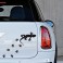 Sticker Salamandre - stickers animaux & stickers auto - stickmycar.fr