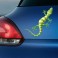 Sticker Salamandre verte - stickers animaux & autocollant voiture - stickmycar.fr