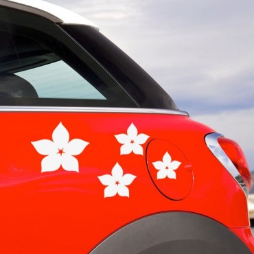 Sticker Fleurs étoiles - stickers fleurs & autocollant voiture - stickmycar.fr