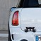 Sticker Chat caché - stickers animaux & autocollant voiture - stickmycar.fr