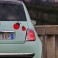 Sticker Coccinelle - stickers animaux & stickers auto - stickmycar.fr